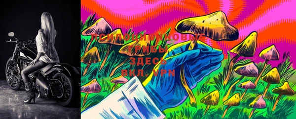 кокс Рославль